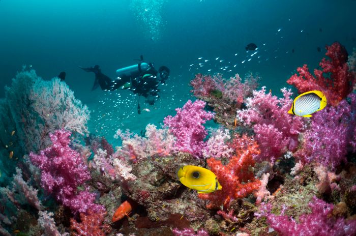 Scuba diving locations